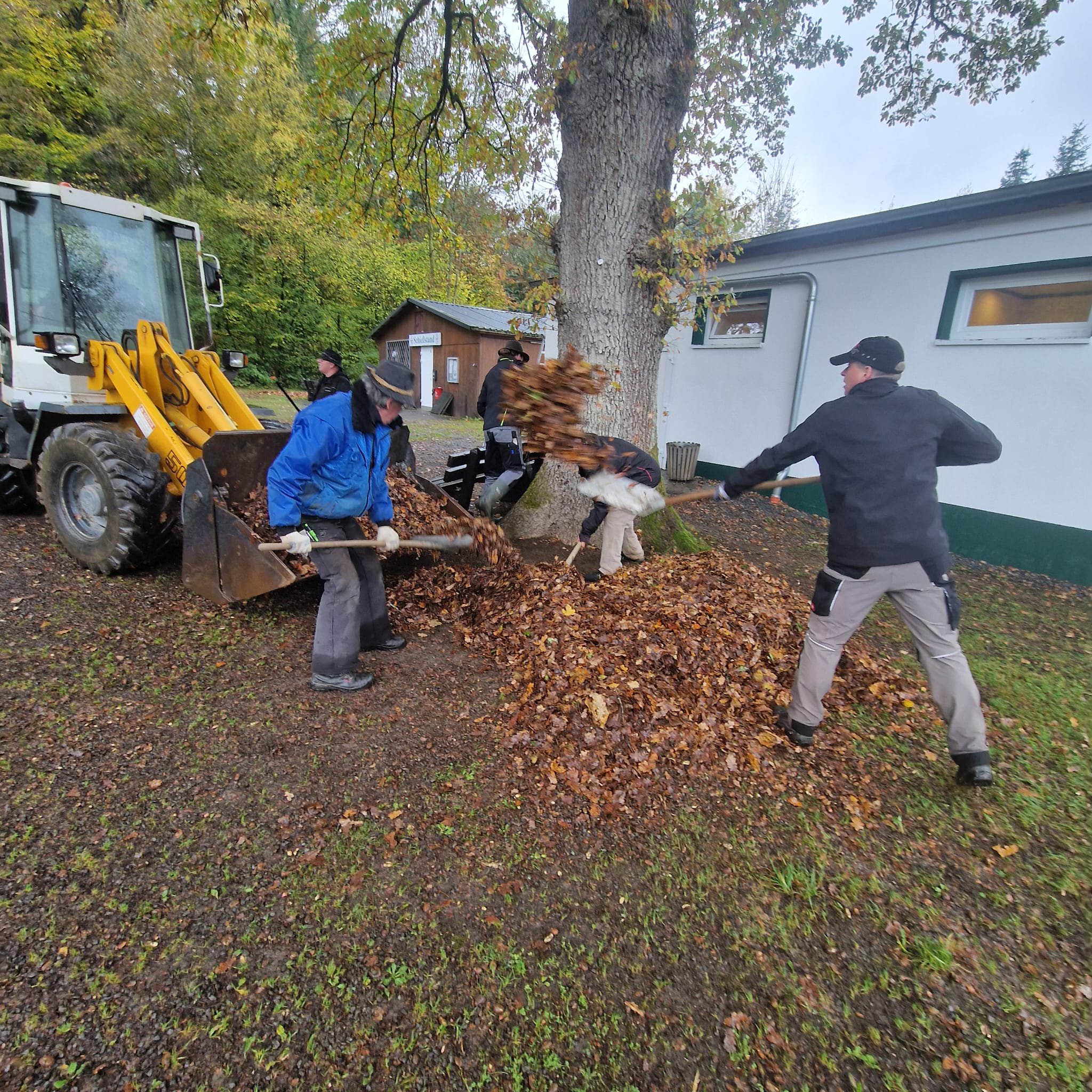 IMG-20251025-WA0009 IMG-20251025-WA0009